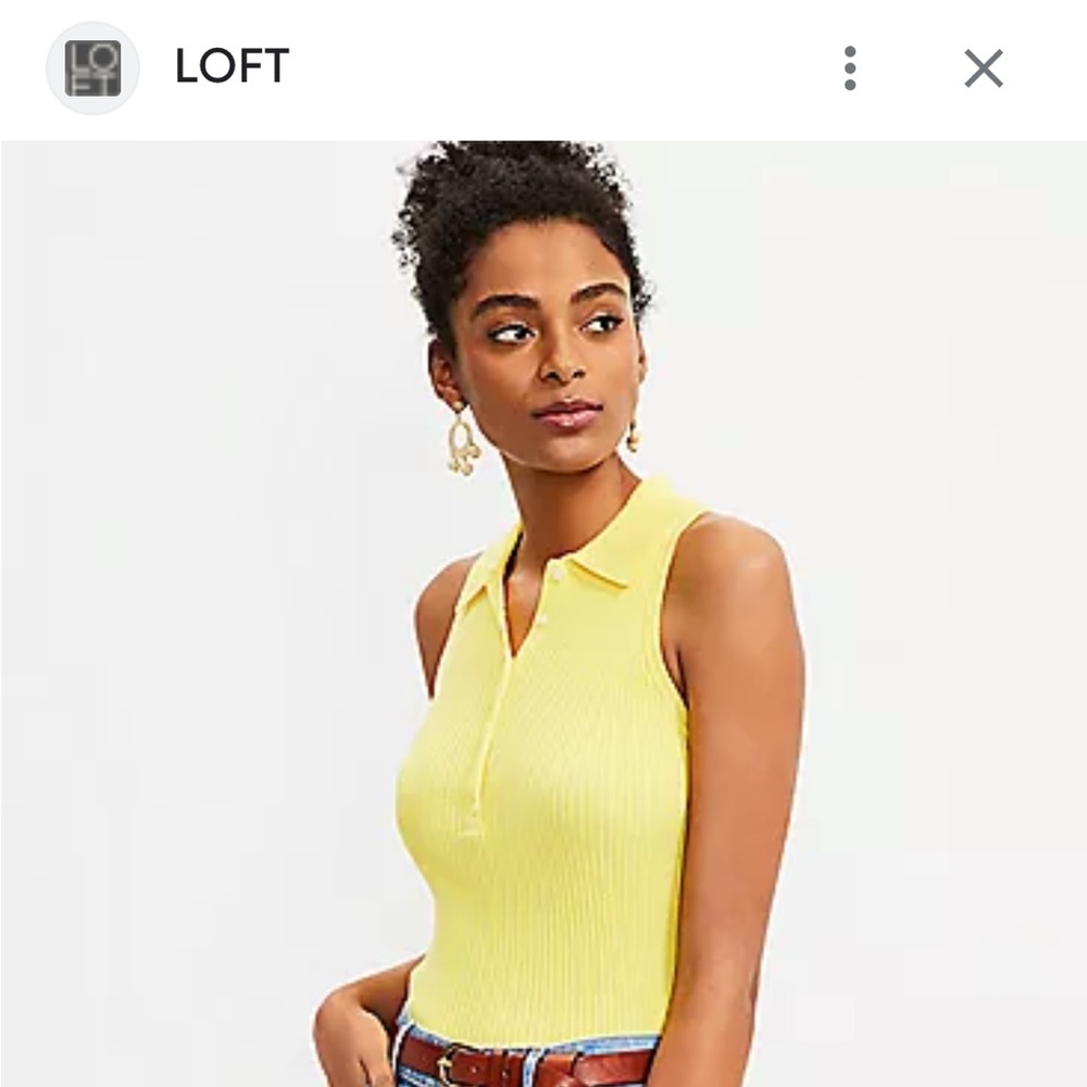 Brand new wot (just plastic piece paper tag removed) loft sweater tank polo